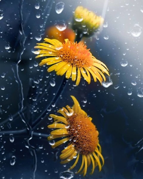 ��������� �� ����� � ������ ������ ���� �� ������������. � ������ ������� - 5