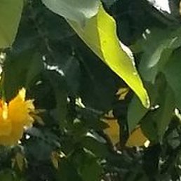 , , 44 