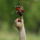 ���� ������, ������, 41 ��� - ��������� 27 ������� 2023 � ������ ���� ����������