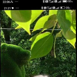 ���� �������, ���������, 65 ��� - ��������� 23 �������� 2025