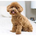 ���� �����🤗, �����, 45 ��� - ��������� 29 ������� 2024