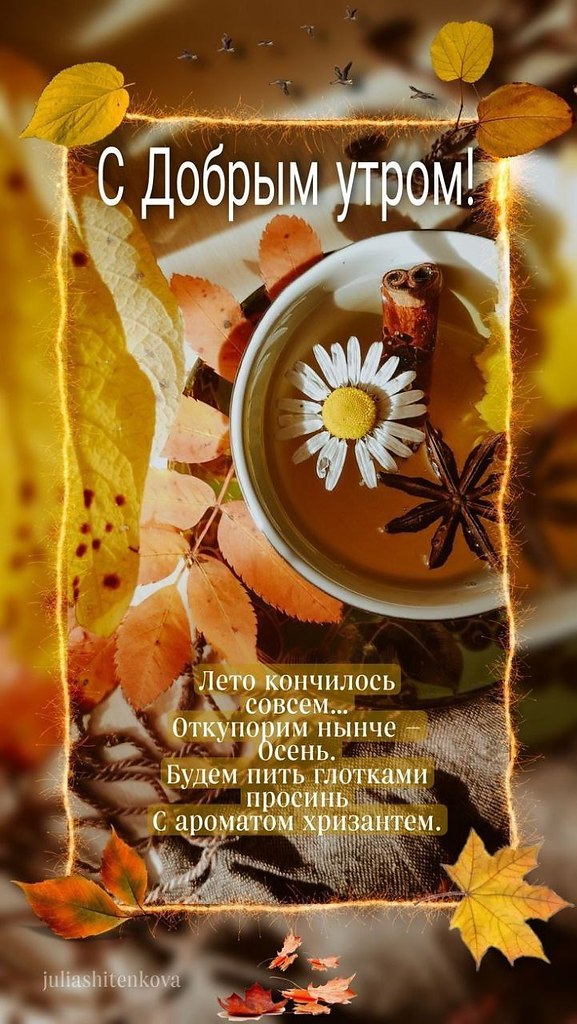   ,    . - 1  2025  08:16 - 2