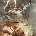 ���� �������, ����������, 66 ��� - ��������� 3 ���� 2026 � ������ ���� ����������