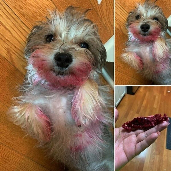 -���� ������? ���, �� �����