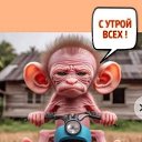 ���� ������, ������, 57 ��� - ��������� 19 ������� 2024 � ������ ���� ����������