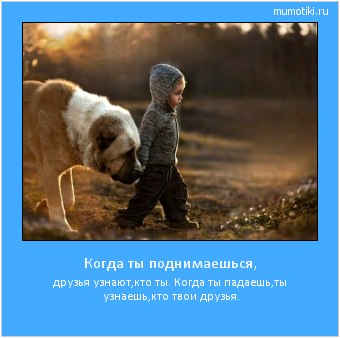 ОБО ВСЕМ - 25 октября 2025 в 15:43