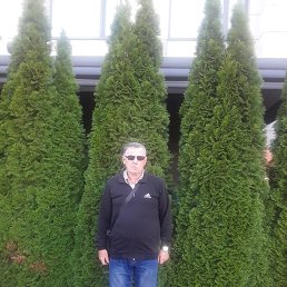 , 61,  