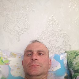 ����, 68 ���, ���������