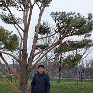 ��������, 51 ���, ���������