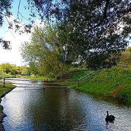 ���� ���, ��������� - ��������� 10 ������� 2024