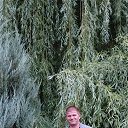 ���� �, ����������, 76 ��� - ��������� 22 ���� 2025 � ������ ���� ����������