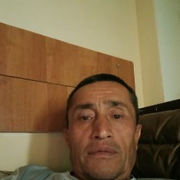 , 52, 