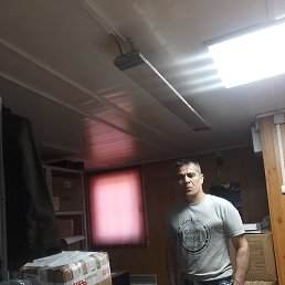 ���� �, �����-���������, 52 ���� - ��������� 1 ������ 2026