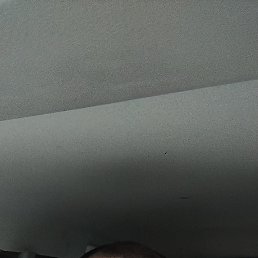, 37 , 