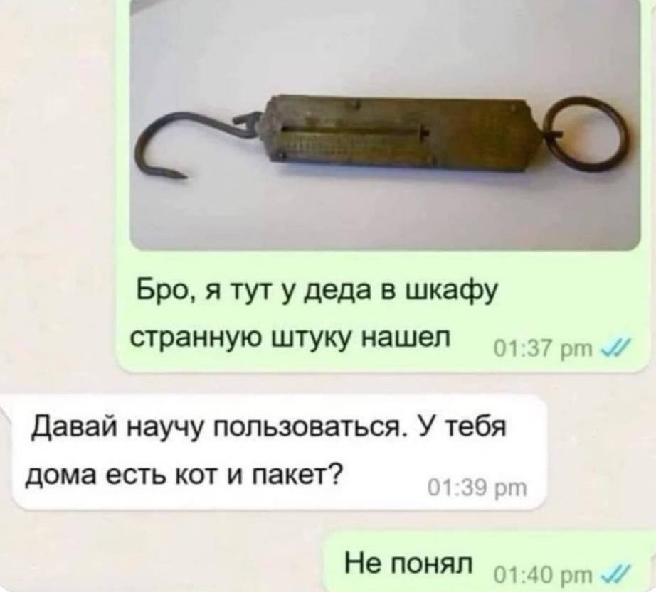  - 13  2024  09:54
