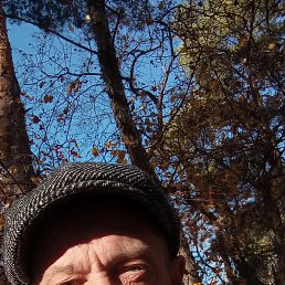 ������� ���, ������ ��������, 52 ����