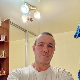 �������, 41 ���, ����������