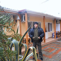 , 72, 