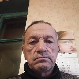 , 61, 