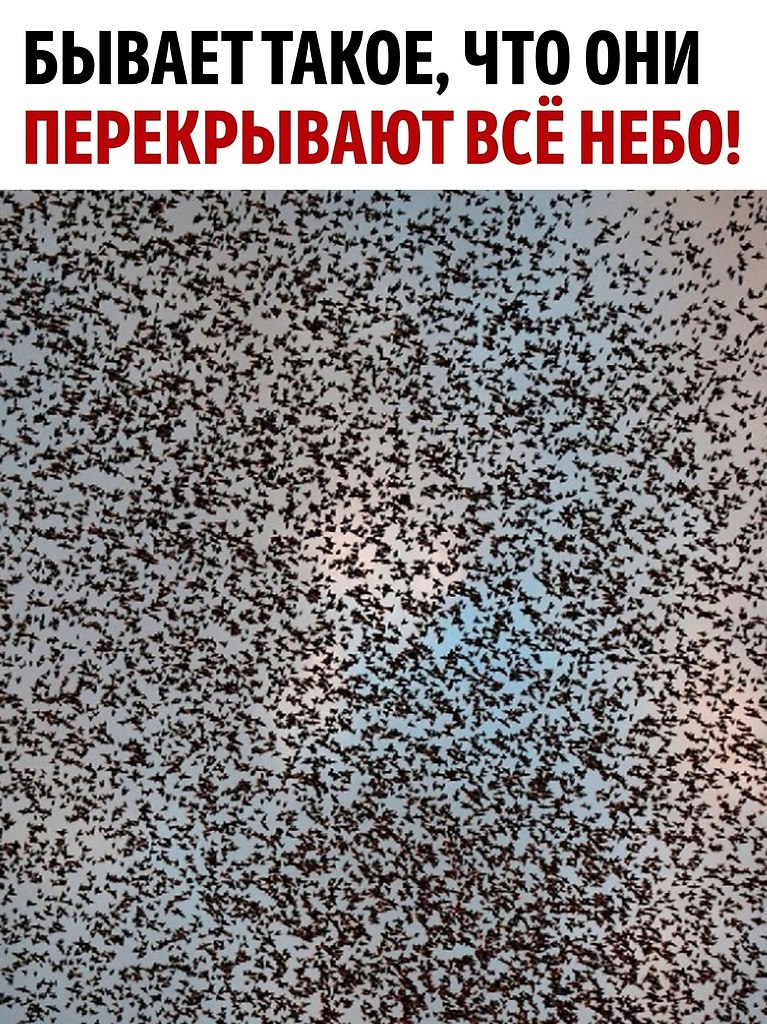     - 2