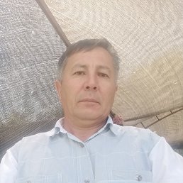 , 42, 