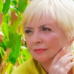 ��������, ������, 53 ����