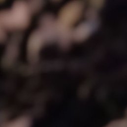 �������, �����-���������, 47 ���