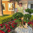 ���� ������, �����������, 52 ���� - ��������� 24 ���� 2024 � ������ ���� ����������