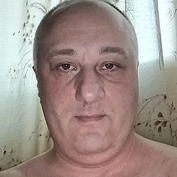 ����, ������, 41 ���