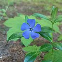 ���� �������, ���� - ��������� 9 ������ 2026 � ������ ������ ��������