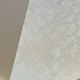 ������, �������, 42 ����