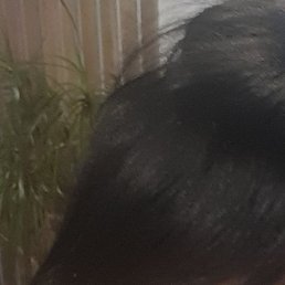 ����, ���������, 55 ���