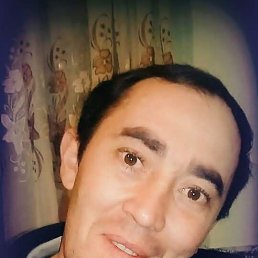 , 43, 