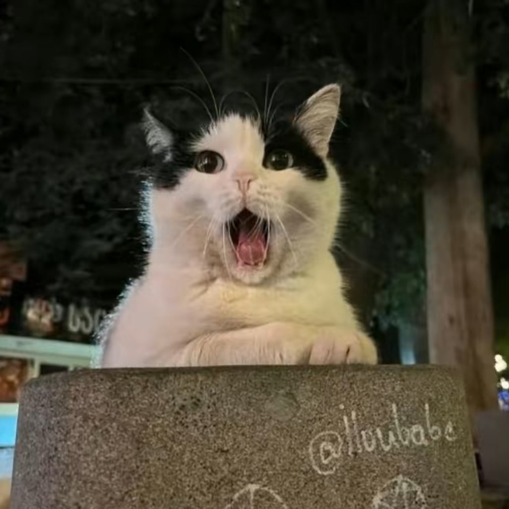    - 2