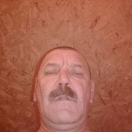 , 58, 
