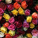  *~-N*~*o-~*,  -  9  2025    