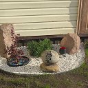 ���� ��������, ����������� - ��������� 4 ������ 2026 � ������ ���� ����������