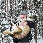 �������, 39 ���, ���������