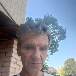 , 55, 