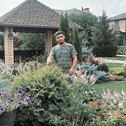 ���, ������, 29 ���