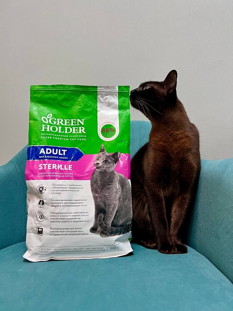 Green Holder       ! ,      ... - 2