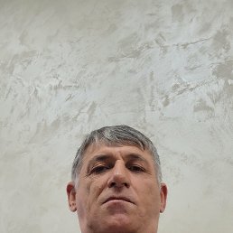 , 55, 