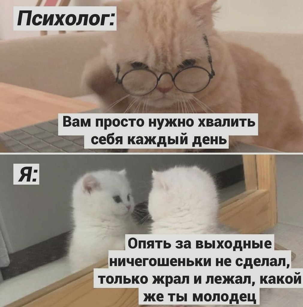   - 25  2025  15:53