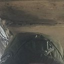 ���� ������, ������, 42 ���� - ��������� 31 ���� 2026 � ������ ���� ����������