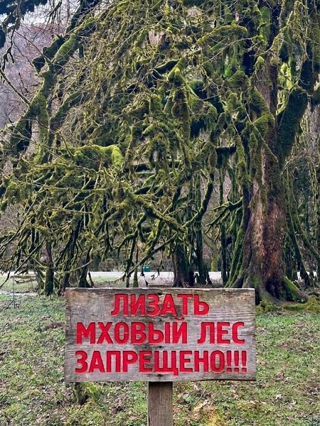 ����� �������� � ������� ���������� ������: �������� �������� ���� ������ ����������� ����� ����� � ... - 2