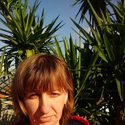 �����, 36 ���, �����������