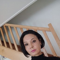 ����, 41 ���, �����