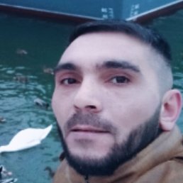 �����, �����-���������, 39 ���