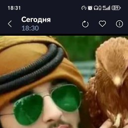 ����, ������, 44 ����