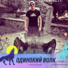 �����, �������, 38 ���